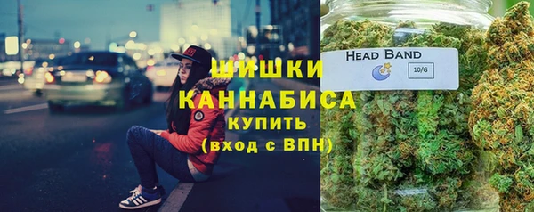 2c-b Каменка
