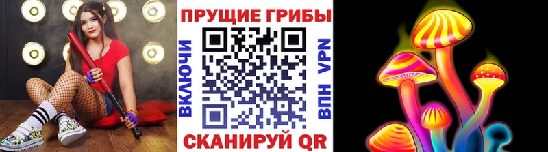 Псилоцибиновые грибы Psilocybine cubensis  Купить  Дорогобуж 